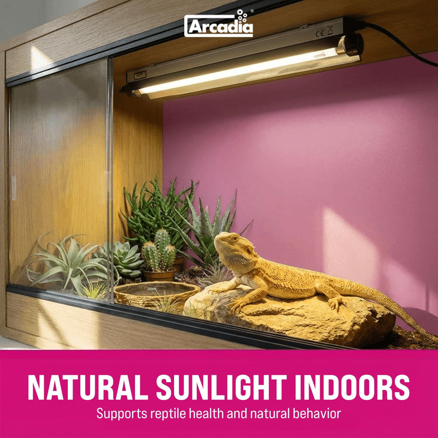 Amazon.co.jp: Arcadia Reptile Pro T5 UVB 照明キット - 24W